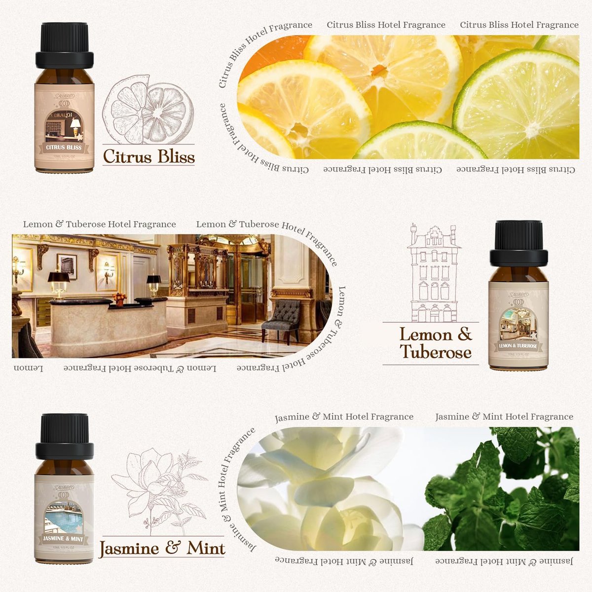 SALUBRITO Hotel Duftöl-Set, Luxuriöses ätherisches Öl-Set für Diffuser, Kerzen-, Seifenherstellung, Bergamotte & Ylang-Ylang, Weißer Tee, Zitrone & Thymian, Citrus Bliss, Zitronen-Tuberose, Jasmin & Minze