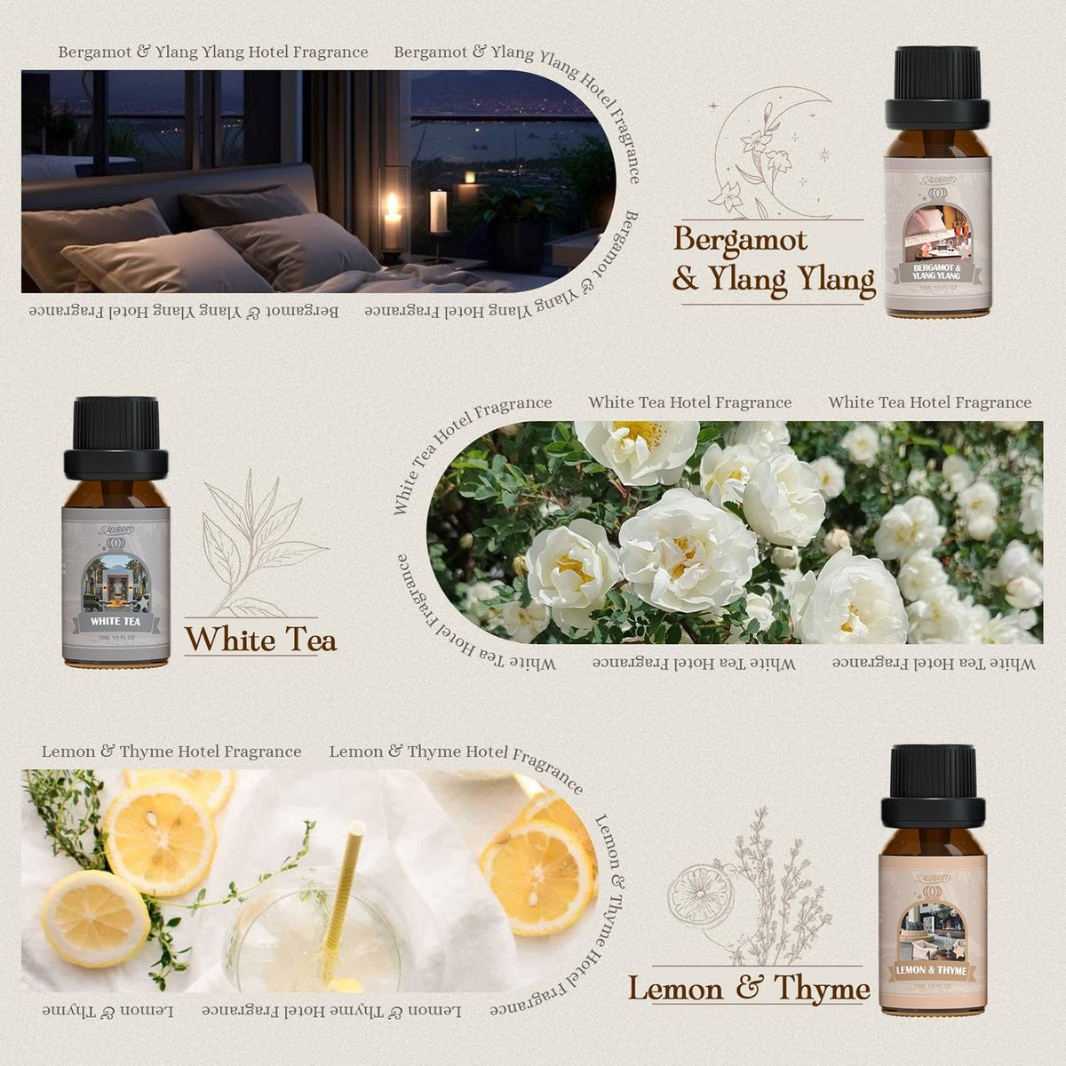 SALUBRITO Hotel Duftöl-Set, Luxuriöses ätherisches Öl-Set für Diffuser, Kerzen-, Seifenherstellung, Bergamotte & Ylang-Ylang, Weißer Tee, Zitrone & Thymian, Citrus Bliss, Zitronen-Tuberose, Jasmin & Minze