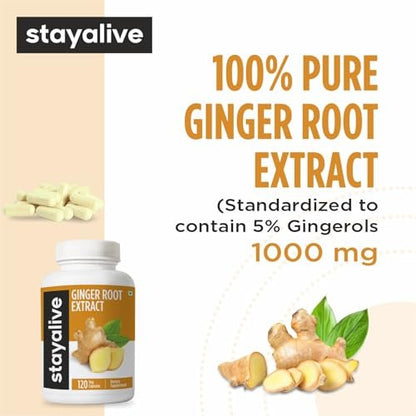 STAY ALIVE Reine Ingwerwurzel Kapseln 1000mg, 10:1 Extrakt Pulver mit 5% Gingerolen, 120 Kapseln, Extra Starke Wurzelpulver, Vegan, Nicht-GVO und Glutenfrei