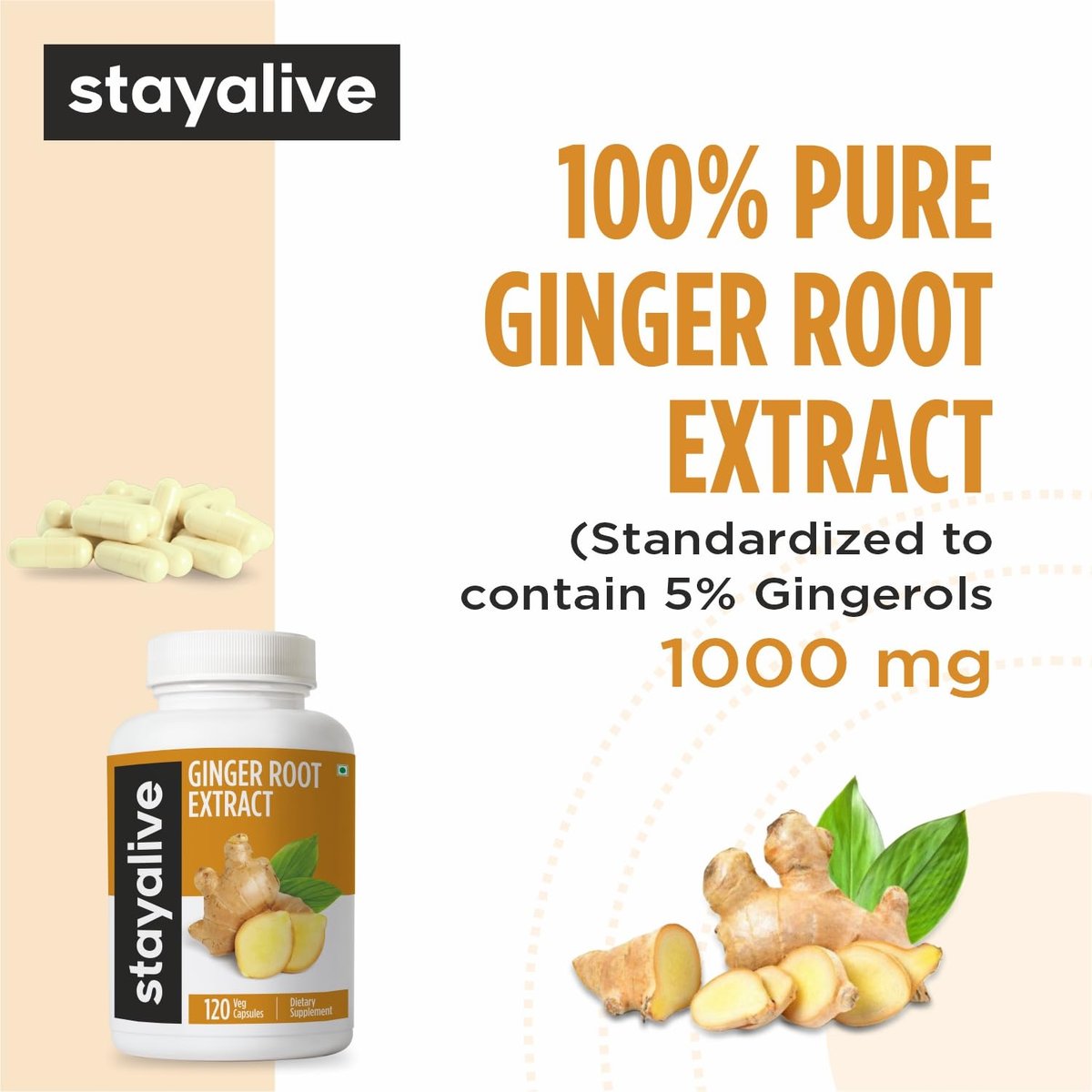 STAY ALIVE Reine Ingwerwurzel Kapseln 1000mg, 10:1 Extrakt Pulver mit 5% Gingerolen, 120 Kapseln, Extra Starke Wurzelpulver, Vegan, Nicht-GVO und Glutenfrei