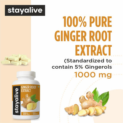 STAY ALIVE Reine Ingwerwurzel Kapseln 1000mg, 10:1 Extrakt Pulver mit 5% Gingerolen, 120 Kapseln, Extra Starke Wurzelpulver, Vegan, Nicht-GVO und Glutenfrei
