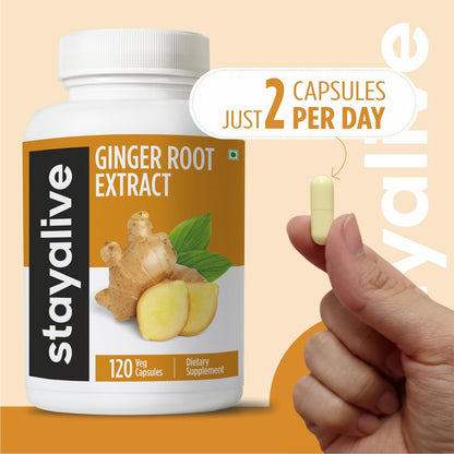 STAY ALIVE Reine Ingwerwurzel Kapseln 1000mg, 10:1 Extrakt Pulver mit 5% Gingerolen, 120 Kapseln, Extra Starke Wurzelpulver, Vegan, Nicht-GVO und Glutenfrei