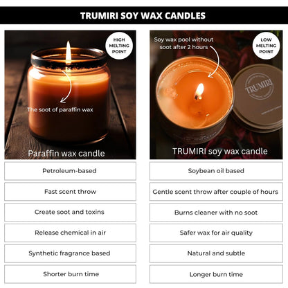 TRUMIRI Money Wealth Kristallkerze – 5oz Sojawachs mit ätherischen Ölen für Wohlstand und Manifestation – langanhaltend, natürlich, organisch, ungiftig