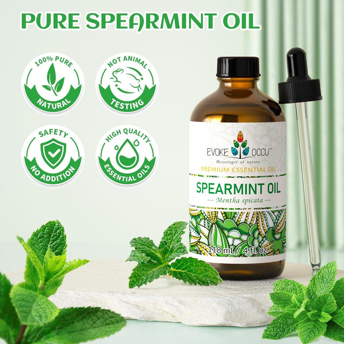 EVOKE OCCU Pfefferminzöl – Hemmt das Haarwachstum im Gesicht, erfrischt die Luft, ideal für Cremes & Lotionen – 118 ml