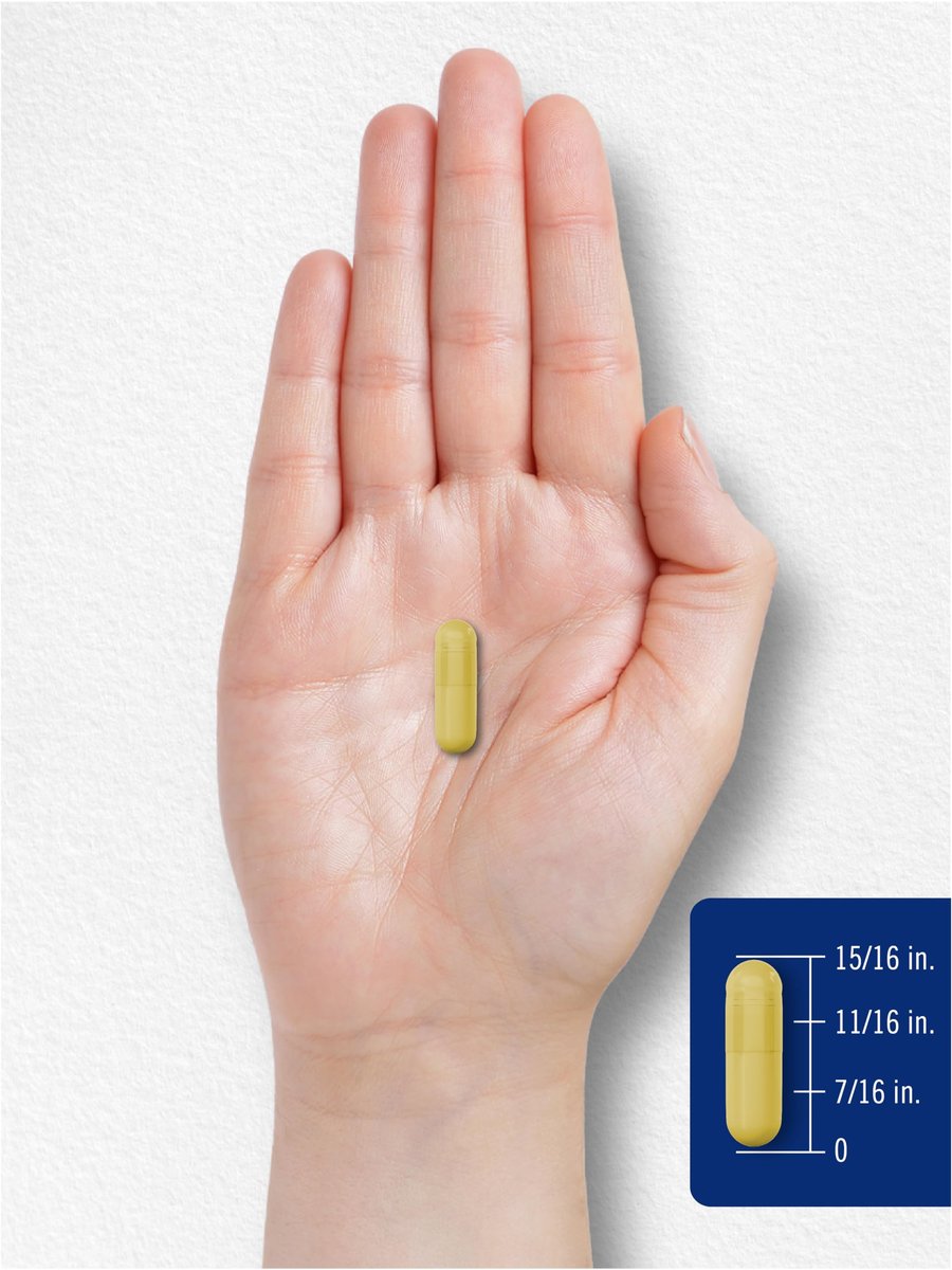 Carlyle Quercetin 500 mg Kapseln mit Zink 50 mg | 100 Stück | Nicht-GVO & Glutenfrei | Nahrungsergänzungsmittel