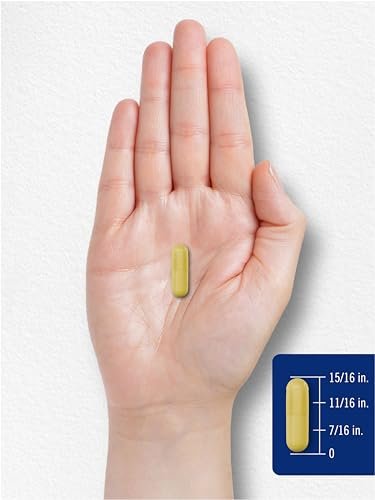 Carlyle Quercetin 500 mg Kapseln mit Zink 50 mg | 100 Stück | Nicht-GVO & Glutenfrei | Nahrungsergänzungsmittel