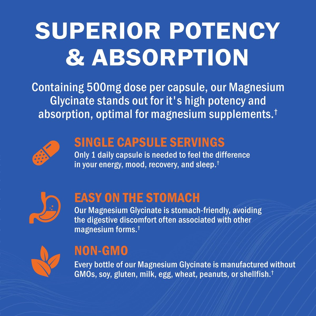 GOODBIO Magnesium Glycinat 500mg – Hochdosiertes Magnesiumpräparat mit hoher Absorption für Stressabbau, Schlaf, Herz- und Knochengesundheit, Nervenunterstützung – Non-GMO, Glutenfrei, Magenfreundlich, 240 Kapseln