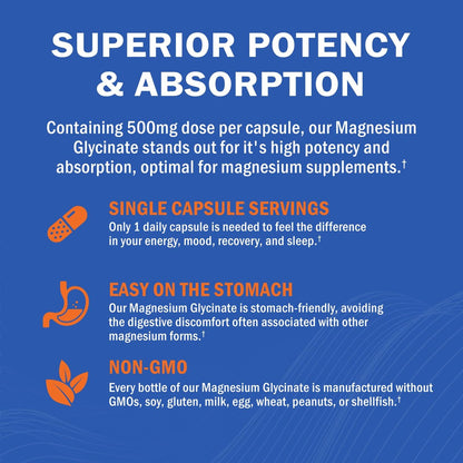 GOODBIO Magnesium Glycinat 500mg – Hochdosiertes Magnesiumpräparat mit hoher Absorption für Stressabbau, Schlaf, Herz- und Knochengesundheit, Nervenunterstützung – Non-GMO, Glutenfrei, Magenfreundlich, 240 Kapseln