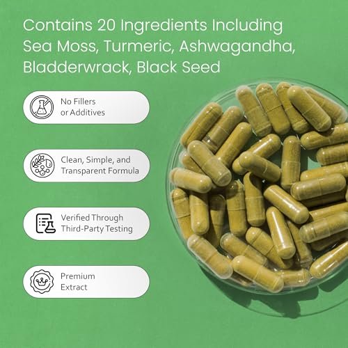Sea Moss, Schwarzkümmelöl, Blasentang, Kurkuma, Ashwagandha, Klette, Vitamin C, D3, Gelbwurzel, Manuka, Löwenzahn – 90 vegane Kapseln