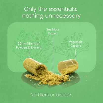 Sea Moss, Schwarzkümmelöl, Blasentang, Kurkuma, Ashwagandha, Klette, Vitamin C, D3, Gelbwurzel, Manuka, Löwenzahn – 90 vegane Kapseln