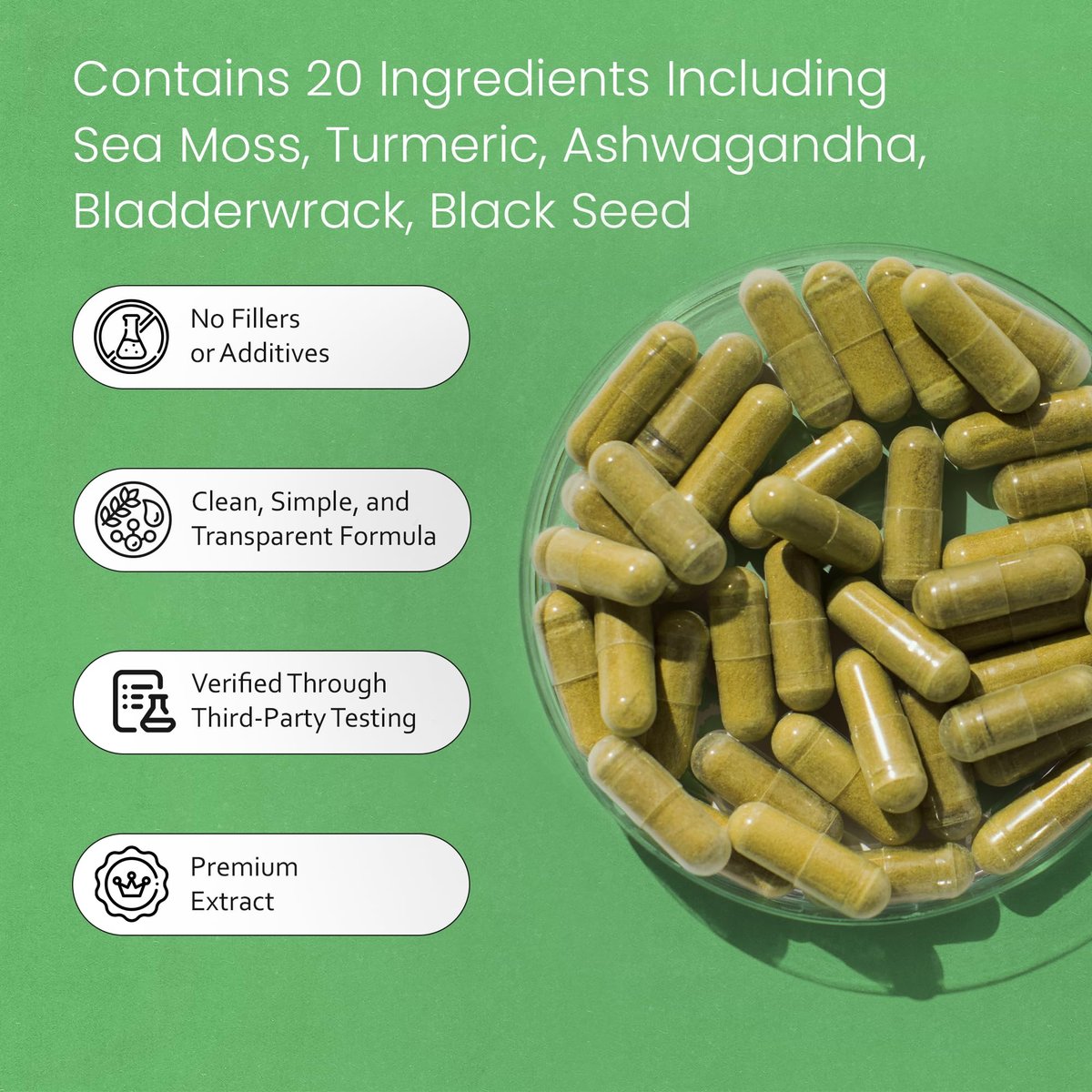 Sea Moss, Schwarzkümmelöl, Blasentang, Kurkuma, Ashwagandha, Klette, Vitamin C, D3, Gelbwurzel, Manuka, Löwenzahn – 90 vegane Kapseln