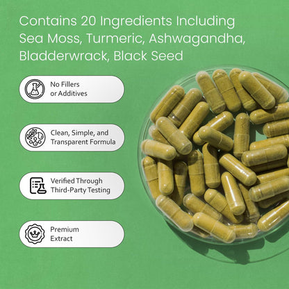 Sea Moss, Schwarzkümmelöl, Blasentang, Kurkuma, Ashwagandha, Klette, Vitamin C, D3, Gelbwurzel, Manuka, Löwenzahn – 90 vegane Kapseln