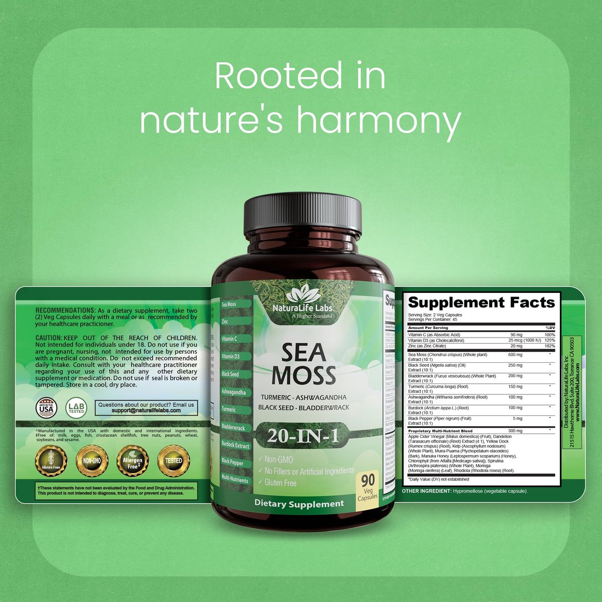 Sea Moss, Schwarzkümmelöl, Blasentang, Kurkuma, Ashwagandha, Klette, Vitamin C, D3, Gelbwurzel, Manuka, Löwenzahn – 90 vegane Kapseln