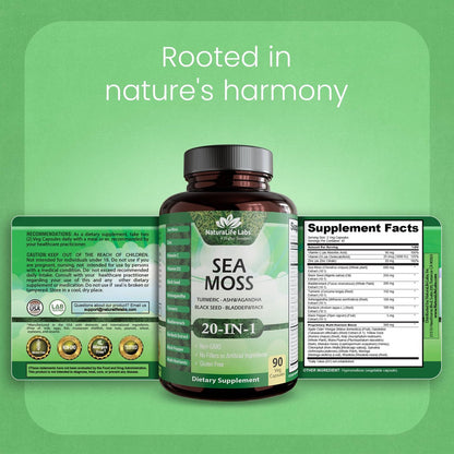 Sea Moss, Schwarzkümmelöl, Blasentang, Kurkuma, Ashwagandha, Klette, Vitamin C, D3, Gelbwurzel, Manuka, Löwenzahn – 90 vegane Kapseln