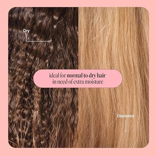MONDAY HAIRCARE Feuchtigkeitsshampoo & Conditioner Set – 2 x 27 oz für trockenes, krauses & gestresstes Haar mit Kokosöl, Reisprotein, Sheabutter & Vitamin E