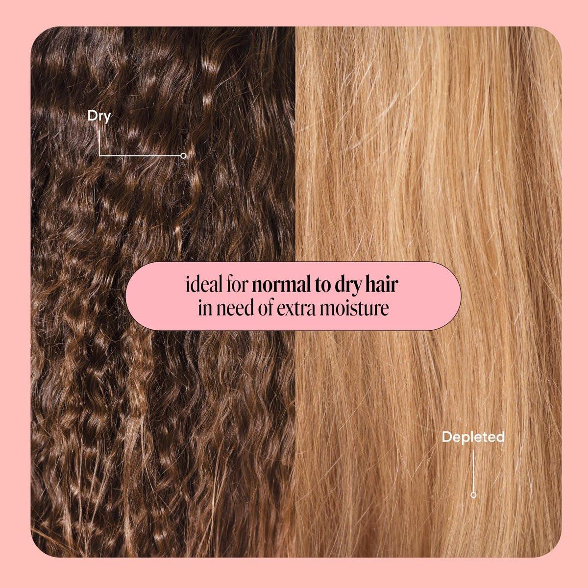 MONDAY HAIRCARE Feuchtigkeitsshampoo & Conditioner Set – 2 x 27 oz für trockenes, krauses & gestresstes Haar mit Kokosöl, Reisprotein, Sheabutter & Vitamin E