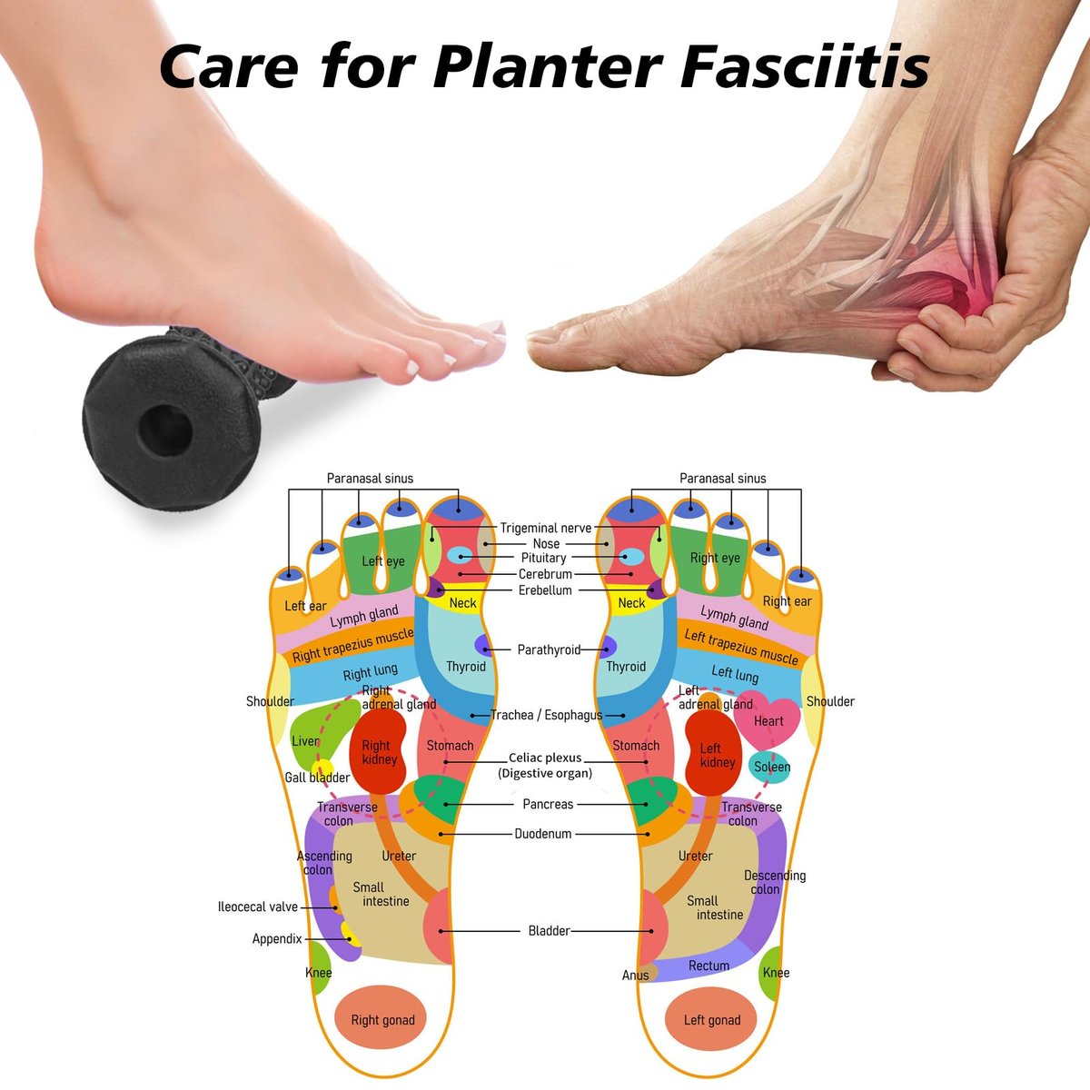 Fußroller Massageball Set gegen Plantarfasziitis – Schmerzlinderung für Fußsohle, Fersensporn und Neuropathie – Tiefengewebsmassage mit Spiky Bällen