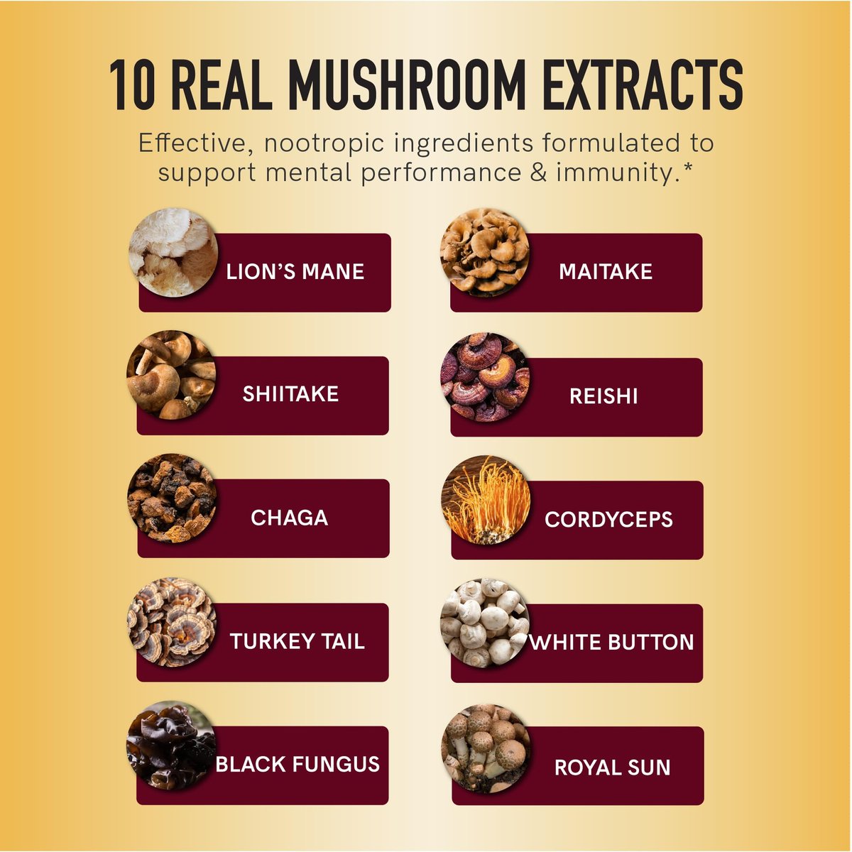 SMNutrition Pilz-Gummis für Erwachsene | Mit Löwenmähne, Truthahnschwanz, Reishi, Cordyceps, Chaga & Maitake | Unterstützt kognitive Funktion & Immunsystem | Himbeergeschmack | 60 Stück
