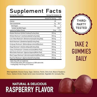 SMNutrition Pilz-Gummis für Erwachsene | Mit Löwenmähne, Truthahnschwanz, Reishi, Cordyceps, Chaga & Maitake | Unterstützt kognitive Funktion & Immunsystem | Himbeergeschmack | 60 Stück