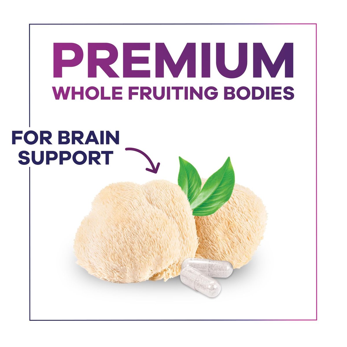 Löwenmähne Kapseln - 1000 mg pro Portion - Extra starke Lion’s Mane Pilz - Superfood für natürliche Gedächtnis-, Fokus-, Gehirn- und Immununterstützung - Hergestellt in USA - 120 Kapseln