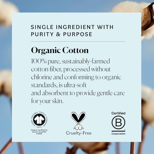 Sky Organics Bio Premium Wattepads groß – 100 % Bio-Baumwolle, GOTS zertifiziert, 240 Stück