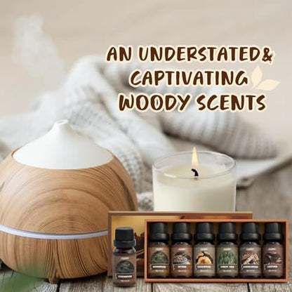 SALUBRITO Woody Fragrance Öl Set – Waldkiefer, Sandelholz, Leder, Teakholz, Myrrhe, Zedernholz – Ätherische Holzöle für Diffuser, Kerzen- und Seifenherstellung