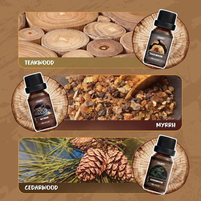 SALUBRITO Woody Fragrance Öl Set – Waldkiefer, Sandelholz, Leder, Teakholz, Myrrhe, Zedernholz – Ätherische Holzöle für Diffuser, Kerzen- und Seifenherstellung
