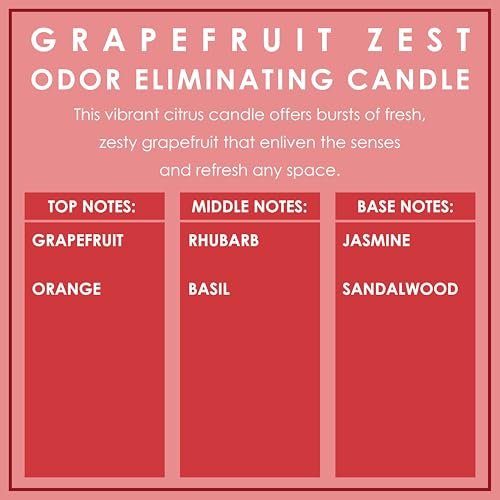 Grapefruit Zest Duftkerze – Geruchsentferner für Tier-, Rauch- und Lebensmittelgerüche – 12 Unzen Premium Sojawachs-Mischung – bis zu 80 Stunden Brenndauer
