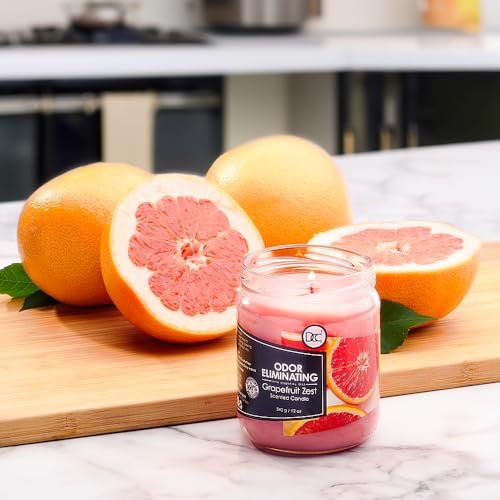 Grapefruit Zest Duftkerze – Geruchsentferner für Tier-, Rauch- und Lebensmittelgerüche – 12 Unzen Premium Sojawachs-Mischung – bis zu 80 Stunden Brenndauer