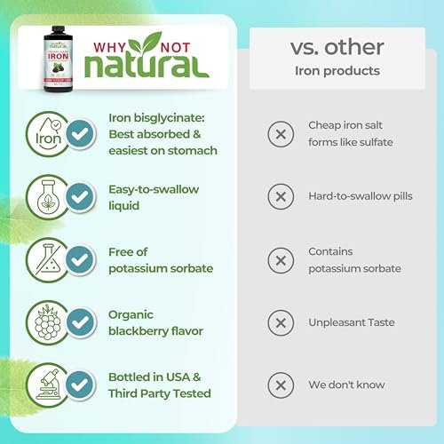 Why Not Natural Flüssiges Eisenpräparat für Frauen, Männer und Kinder – Vegane Formel gegen Anämie, zuckerfrei, vegan, nicht-GVO, Bio-Brombeergeschmack 16 Fl Oz