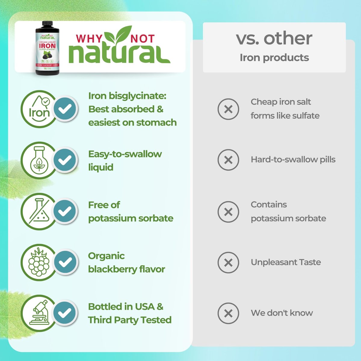 Why Not Natural Flüssiges Eisenpräparat für Frauen, Männer und Kinder – Vegane Formel gegen Anämie, zuckerfrei, vegan, nicht-GVO, Bio-Brombeergeschmack 16 Fl Oz