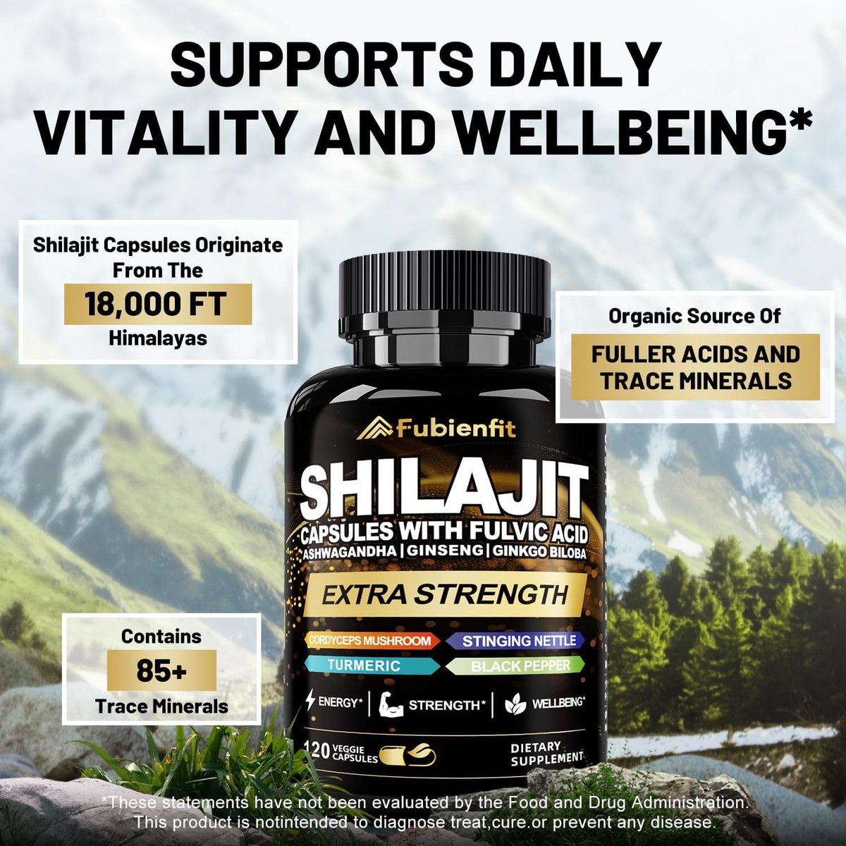Fubienfit Shilajit Kapseln – Premium Shilajit für Männer mit Ashwagandha, Ginseng und Fulvinsäure – 120 Kapseln