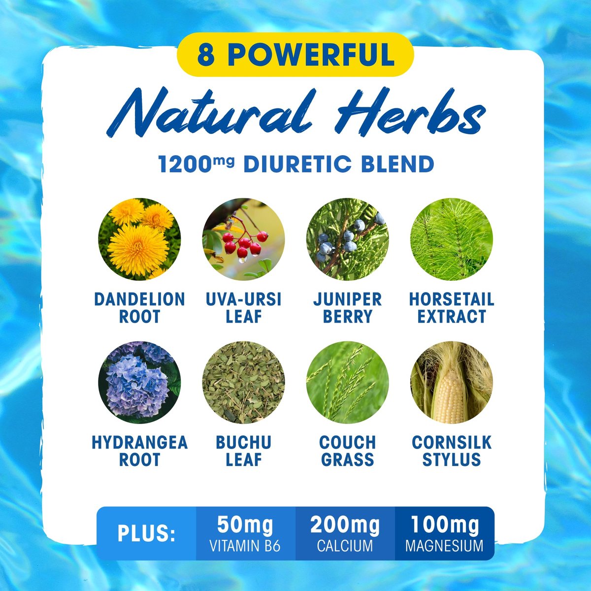 MHP Xpel Maximum Strength Diuretic Wasserpillen – zur Entwässerung, koffeinfrei mit Vitamin B6, Kalium und Löwenzahnwurzel, 80 Kapseln