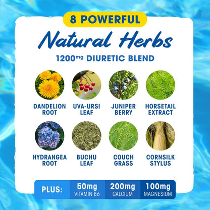 MHP Xpel Maximum Strength Diuretic Wasserpillen – zur Entwässerung, koffeinfrei mit Vitamin B6, Kalium und Löwenzahnwurzel, 80 Kapseln