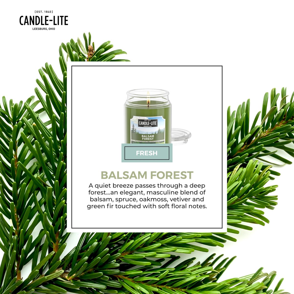 Candle-lite Herbst-Duftkerzen, Balsam Forest Duft, 18 oz Glas, Stolz in den USA gegossen, Aromatherapie-Kerze, Einzeldocht mit 110 Stunden Brenndauer, Perfekt für eine erfrischende Atmosphäre
