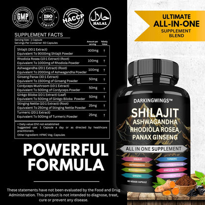 8-in-1 Shilajit 9000 Panax Ginseng 1500MG Ashwagandha 2000MG Rhodiola Rosea 1000MG, Kurkuma 500MG, Ginkgo Biloba 500mg, Brennnessel 250MG, Cordyceps Pilz 500 MG für volle Körperkraft