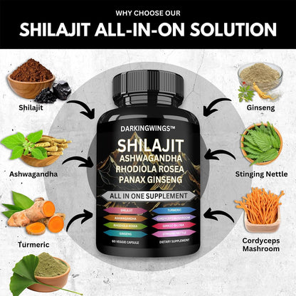 8-in-1 Shilajit 9000 Panax Ginseng 1500MG Ashwagandha 2000MG Rhodiola Rosea 1000MG, Kurkuma 500MG, Ginkgo Biloba 500mg, Brennnessel 250MG, Cordyceps Pilz 500 MG für volle Körperkraft