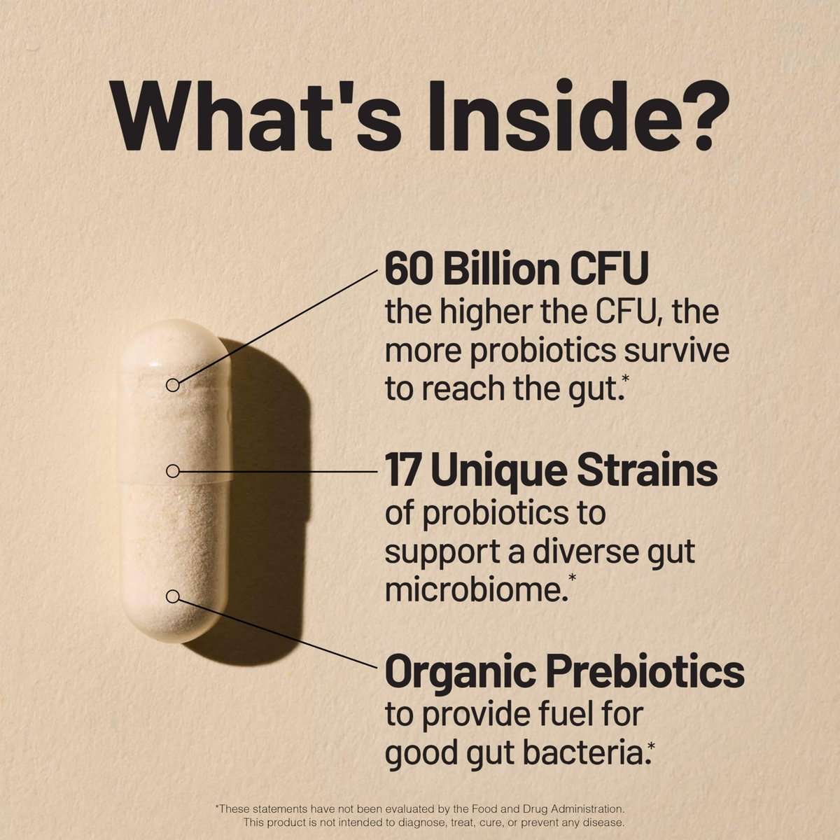 NatureWise Probiotika 60 Milliarden KBE - 17 Stämme + Organische Präbiotika - Immun-, Verdauungs- und Darmgesundheitsunterstützung für Frauen und Männer - Vegetarisch, Glutenfrei, Ohne Gentechnik - 30 Kapseln [1-Monatsvorrat]