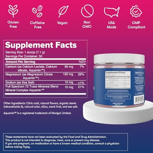 Flyby Electrolytes Pulver – Ohne Zuckerzusatz, natürlich gesüßt – Enthält Kalium, Aquamin™ Calcium & Magnesium, Meersalz-Natrium, 72 Spurenmineralien – Erdbeer-Zitronen-Geschmack