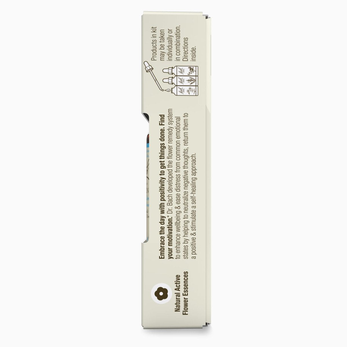 Bach Original Flower Remedies - GET IT DONE Trio Kit - Für Motivation (Alkoholfreie Formel) - Natürliche homöopathische Blütenessenzen - Vegan - 3 x 10 ml Tropfflaschen