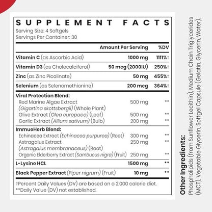 CyberCerix Liposomales Immunsystem-Supplement mit L-Lysin 1.500 mg, Vitaminen, Mineralien & Kräuterextrakten – Tägliche Wellness-Formel für Männer & Frauen, 120 Kapseln