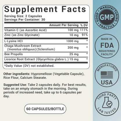 L-Lysin Lippenherpes Behandlung mit Immununterstützung - L-Lysin 1000mg Kapseln, Chaga, Bienenpropolis, Vitamin C, Zink & Süßholzwurzel-Extrakt - Nicht-GVO, Vegetarisch, 60 Kapseln für Männer und Frauen