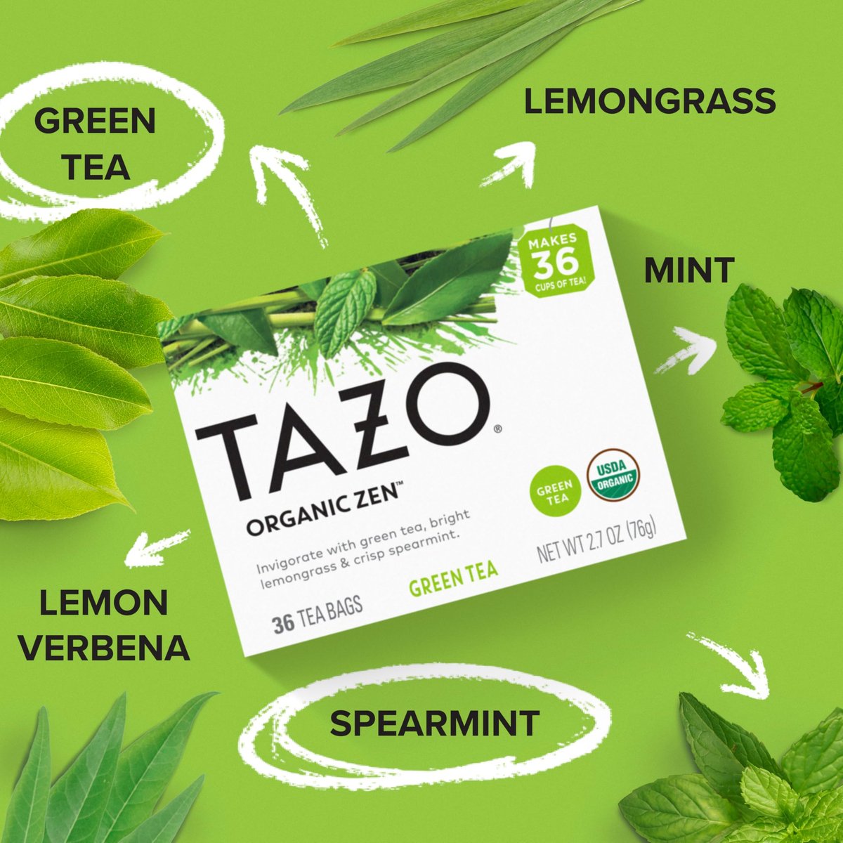 TAXO Bio Grüner Tee Zen – Erfrischender Zitronengras- und Minztee, 36 Beutel, koffeinhaltig