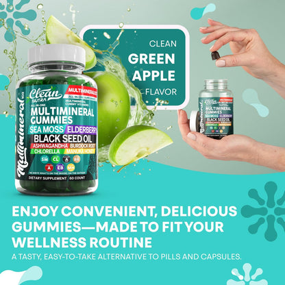 Sea Moss Gummies | Klinisch getestet – Schwarzkümmelöl, Ashwagandha, Holunder, Klettenwurzel, Chlorella, Manuka-Honig – Vegane irische Seemoos-Gummis für Erwachsene, Kinder, Männer, Frauen – Grüner Apfelgeschmack