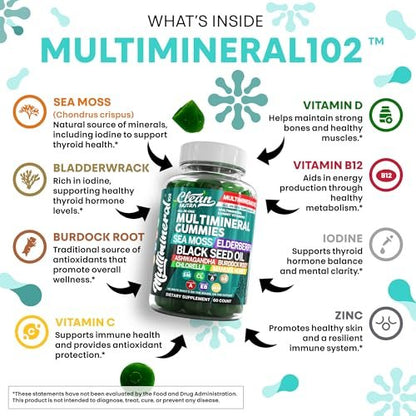 Sea Moss Gummies | Klinisch getestet – Schwarzkümmelöl, Ashwagandha, Holunder, Klettenwurzel, Chlorella, Manuka-Honig – Vegane irische Seemoos-Gummis für Erwachsene, Kinder, Männer, Frauen – Grüner Apfelgeschmack