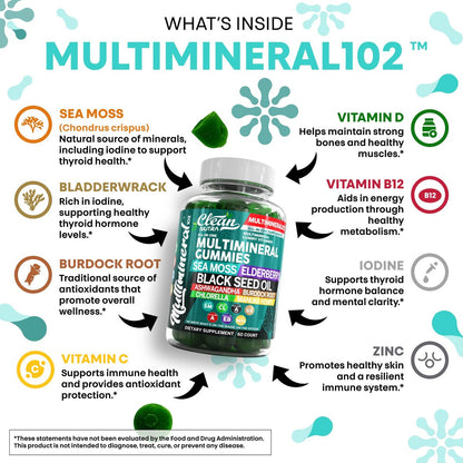 Sea Moss Gummies | Klinisch getestet – Schwarzkümmelöl, Ashwagandha, Holunder, Klettenwurzel, Chlorella, Manuka-Honig – Vegane irische Seemoos-Gummis für Erwachsene, Kinder, Männer, Frauen – Grüner Apfelgeschmack