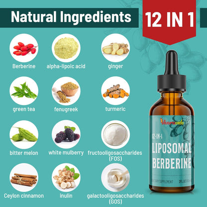Berberin HCl Supplement 3000 mg – Liposomales Berberin HCl Liquid – AMPK-Aktivator mit Kurkuma, Ceylon-Zimt, 12 natürliche Inhaltsstoffe – 60 ml