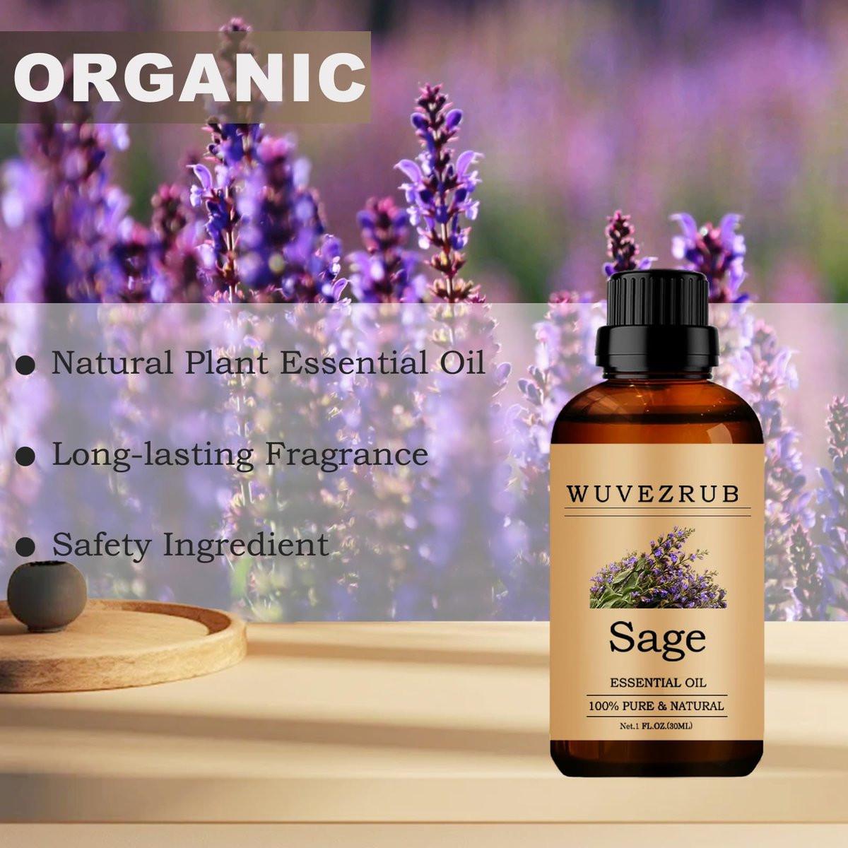 Salbei ätherisches Öl 30 ml – reines und natürliches Aromaöl für Diffuser, 1 Fl Oz