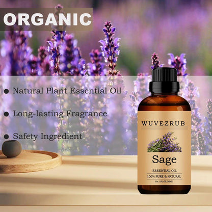 Salbei ätherisches Öl 30 ml – reines und natürliches Aromaöl für Diffuser, 1 Fl Oz