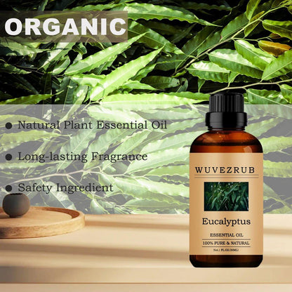 Wuvezrub Eukalyptus-Öl, 30 ml – 100 % rein und natürlich, für Aromatherapie-Diffuser, Hautpflege und Erkältungsbeschwerden